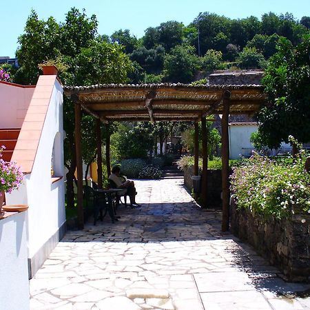 Hotel La Marticana Ischia Exterior photo